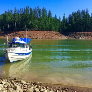 4th July Shasta 2020