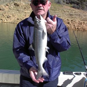 Nice Shasta Lake Salmon (landlocked King)
