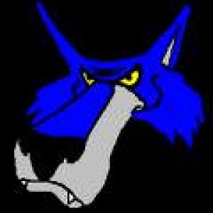 Sea Wolf Logo 3