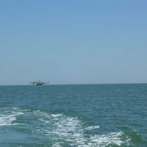 Choctawhatchee Bay Shrimper