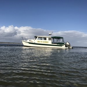 Beached Life!