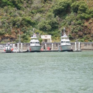 DSC 0285