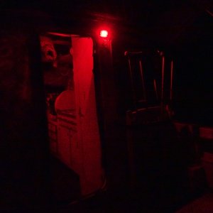 Outside red light above the cabin door.  We always leave this on when we are gone from the boat at night.  It is bright enough for us to get aboard, (dinghy or dock0 and find the door etc, yet does. not draw the bugs as a white light will.