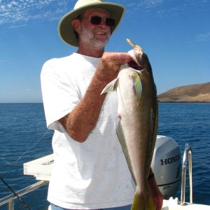Media 'Brent w/Ocean White Fish' in album 'Brent resting at Marina Del Rey'