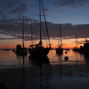 Media 'Catalina Sunrise' in album 'Brent resting at Marina Del Rey'