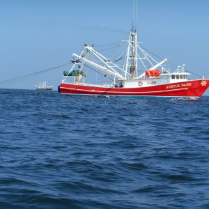 Media 'One of a hundred shrimp boats offshore.' in album 'Gulfport Municipal Marina.  Great folks and outstanding restaurant right across the street.'