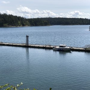 Media 'Pre Friday Harbor At Prevost Hbr - Where is everyone?!' in album 'Friday Harbor Cake 2022'