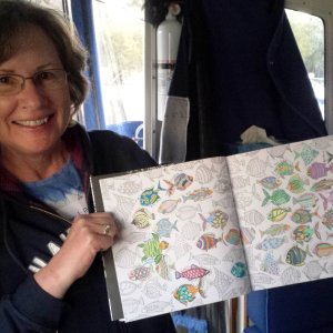14.) Cooperative coloring project