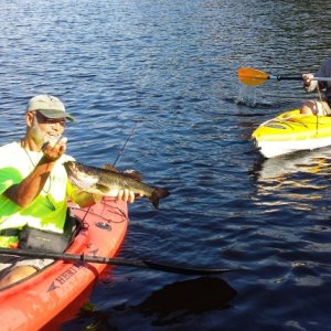 27.) Bass fishing at Lungren Island anchorage on the St. Johns River.