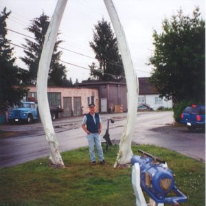 Blue Whale bottom jaw bones, Coal Harbour