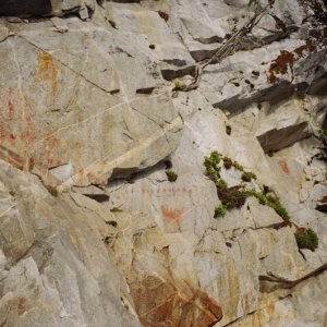 Pictograph