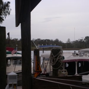 C-Dory's
