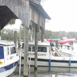C-Dory's