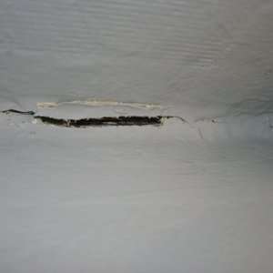 IMG 4643
