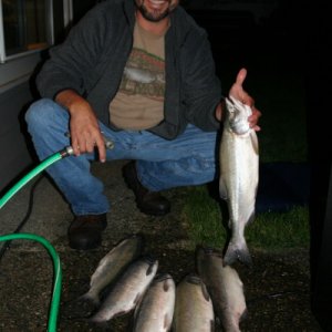 labor day salmon