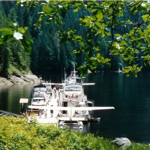 Dock at - Princess Louisa 1995