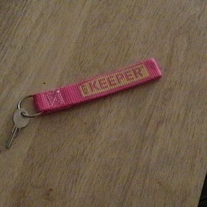 Key and lanyard, anyone lose this?