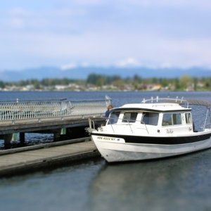 C dory 003 sized-tiltshift