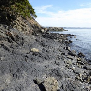 Media 'Hiking / scrambling around tiny Cone Island' in album 'After the Bellingham CBGT, making breakfast at Cypress Island Sunday morning'