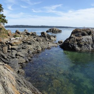 Media 'Hiking / scrambling around tiny Cone Island' in album 'After the Bellingham CBGT, making breakfast at Cypress Island Sunday morning'
