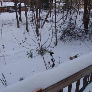 The creek is snowed over.