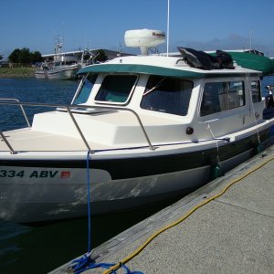 Media 'WOODDUCK' in album 'Bellingham, WA 2010'