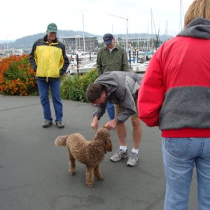 Media 'John & Teddi' in album 'Bellingham, WA 2010'