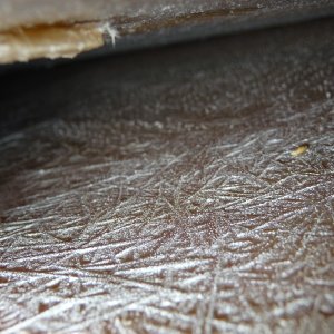 Media '8. Looking forward and about 45 degrees to the starboard.' in album '1. Galley floor access  hole, just in front of the cabin door. This void area collected several gallons of salt water comming directly from a misplaced drainage hole in the anchor locker.'