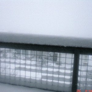 SNOW! 26 Nov 2006.