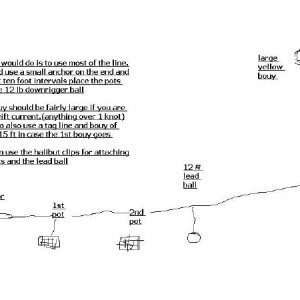 shrimp diagram (2)