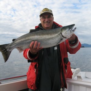 Sept 2015/12 Lbs Coho from Work Channel