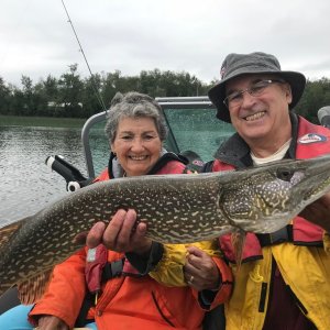 35 inch Northern Pike caught west of Edmonton yesterday. July 23 2018