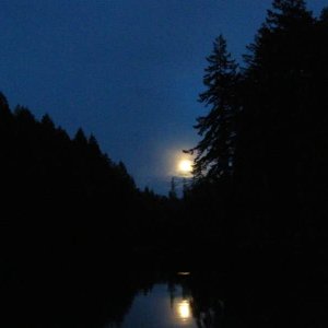 Moonrise Jarrell Cove