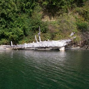 Oct cruise