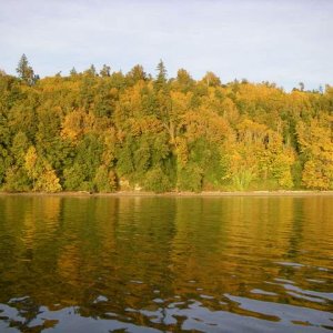 Fall colors, Fox Island