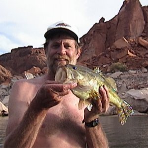 (Cygnet) 3 lb. Lake Powell Large Mouth Bass