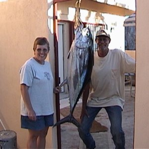 (Cygnet) 100 lb. + Yellow Fin Tuna, Cabo San Lucas Mexico