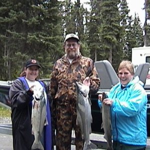 (Cygnet) Coho Salmon, Soldotna Alaska