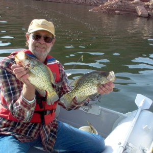 Black Crappie, Lake Powell, Utah