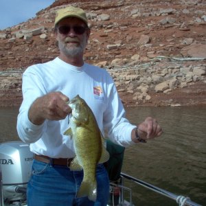 Small Mouth Bass, Lake Powell, Utah