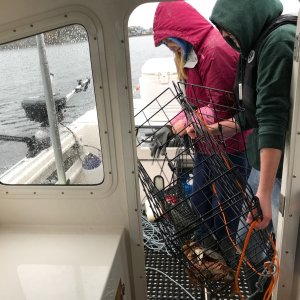 Media 'E3F281DD-439C-4C86-87B2-9A65AAABCB3C' in album 'Crabbing'