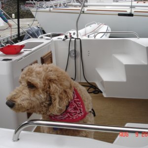 August 2009 B'Ham
This is SPORTY and his 
new boat is named
SPORTY II