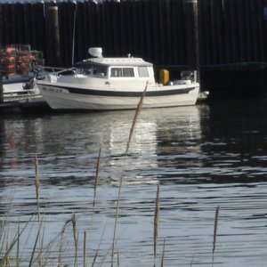 15 Nov 2008 Langley
87 C-Dory owned by Rose 
and Ron of Olympia