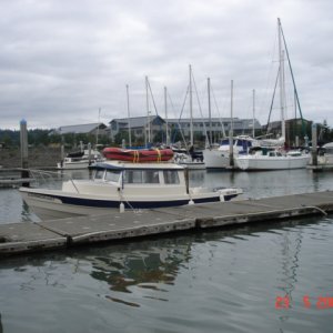 24 July 2007 Bellingham
     CORMORANT