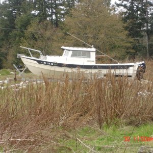 30 Mar 2007 Anacortes 
  Older Hunky Dory