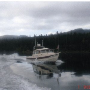 1 Oct 2006 Sequim Bay  
     KINGFISHER