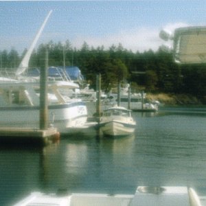 Aug 2006 Roche Harbor 
  19CD (unnamed)