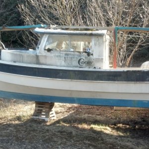 First Look of My New Dory #3