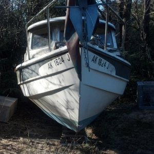 Media 'First Look of My New Dory #4' in album 'First Look of My New Dory #1'