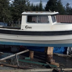 Media 'Amazing what a little soap and water can do.' in album 'First Look of My New Dory #1'